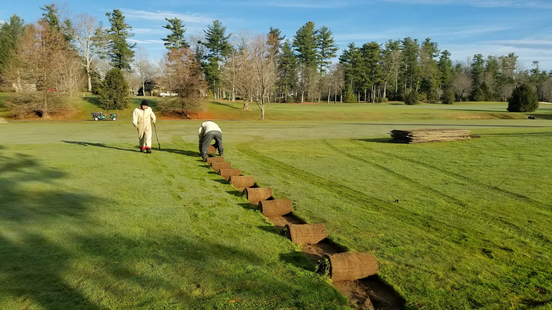Crew retaining sod in an orderly line