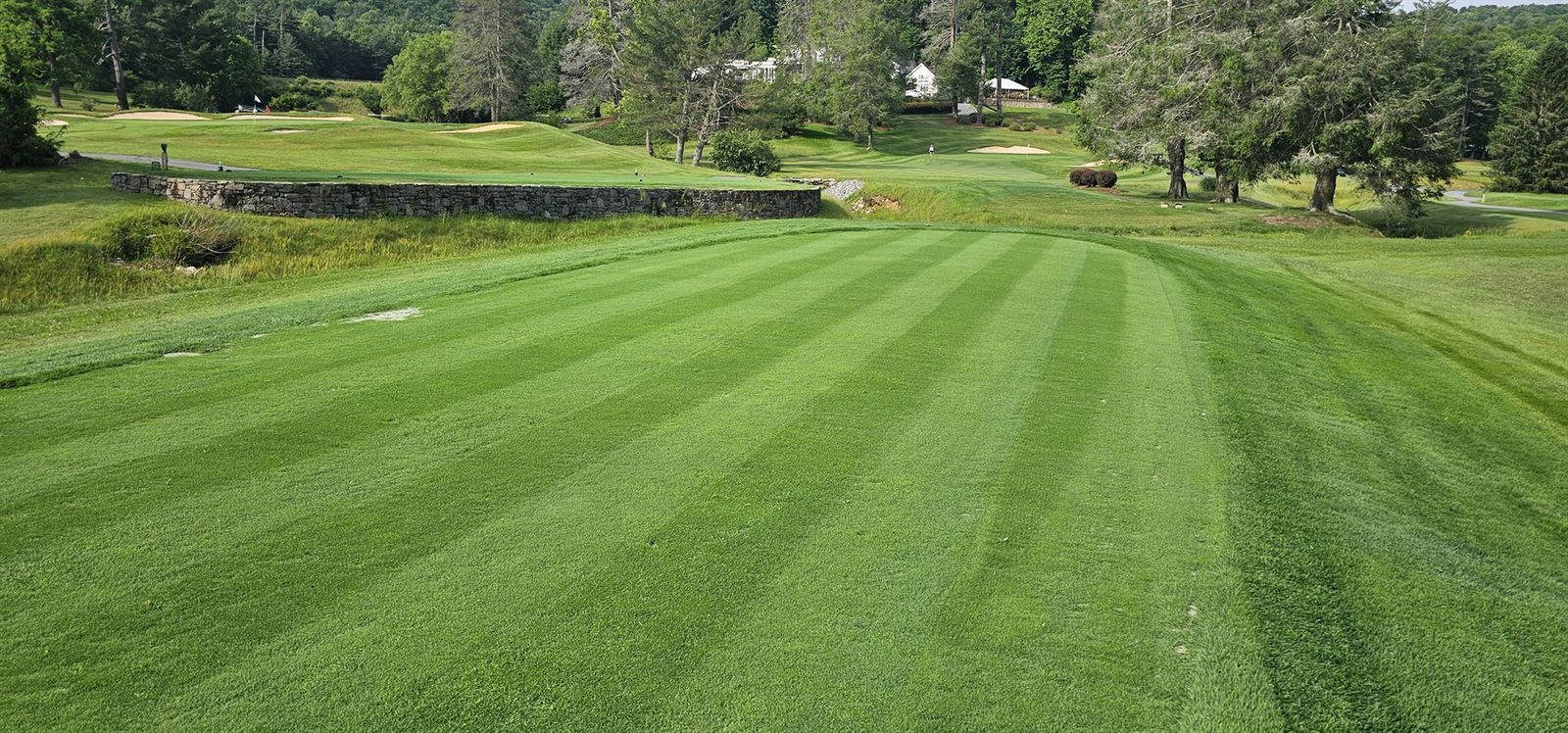 Finished striped bentgrass surface on Kenmure 9 tee