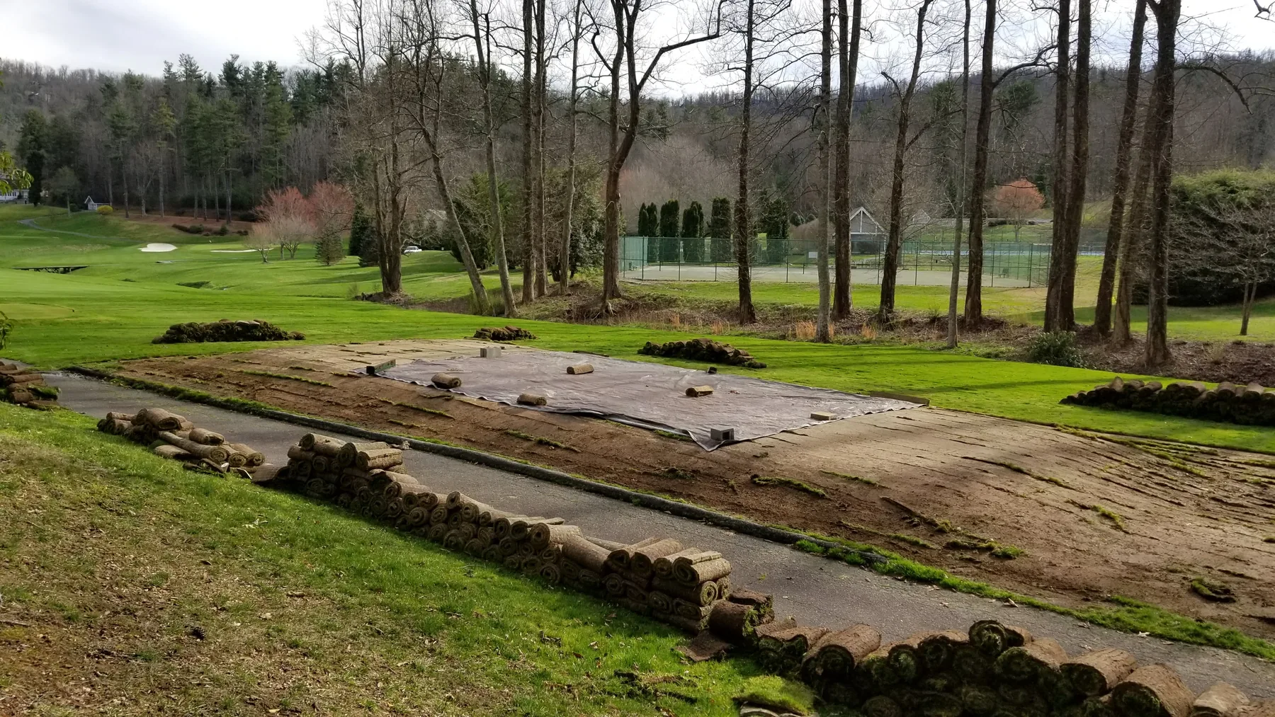 Sod sections staged