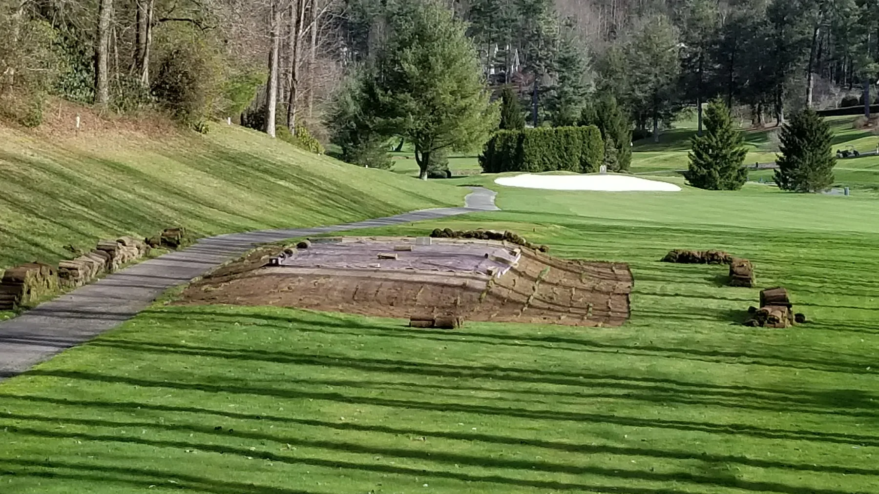 Stacked sod rolls