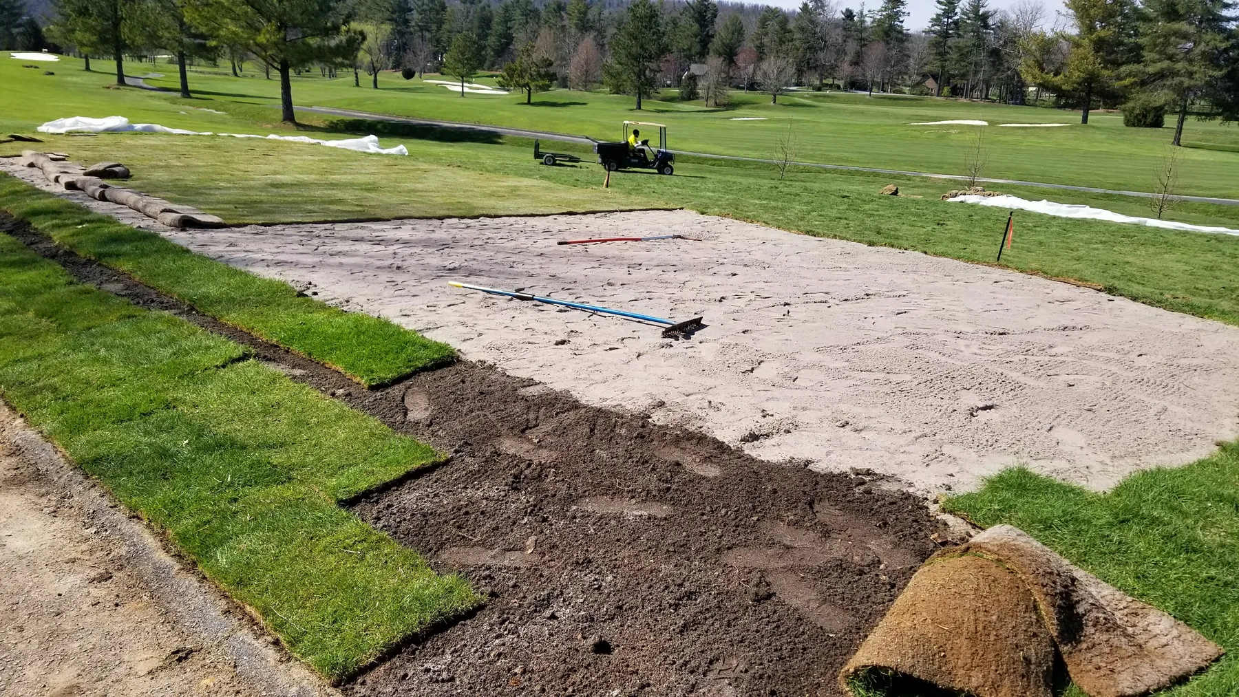 Finished root-zone bed