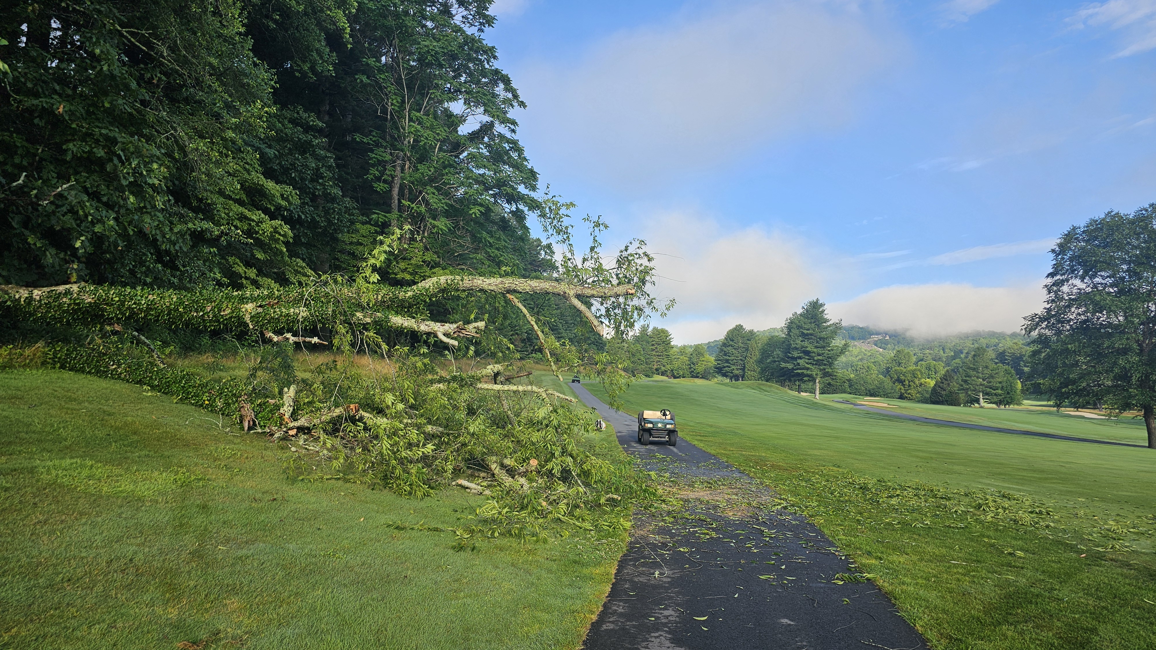 Fallen tree blocking golf cart path with maintenance crew beginning cleanup.