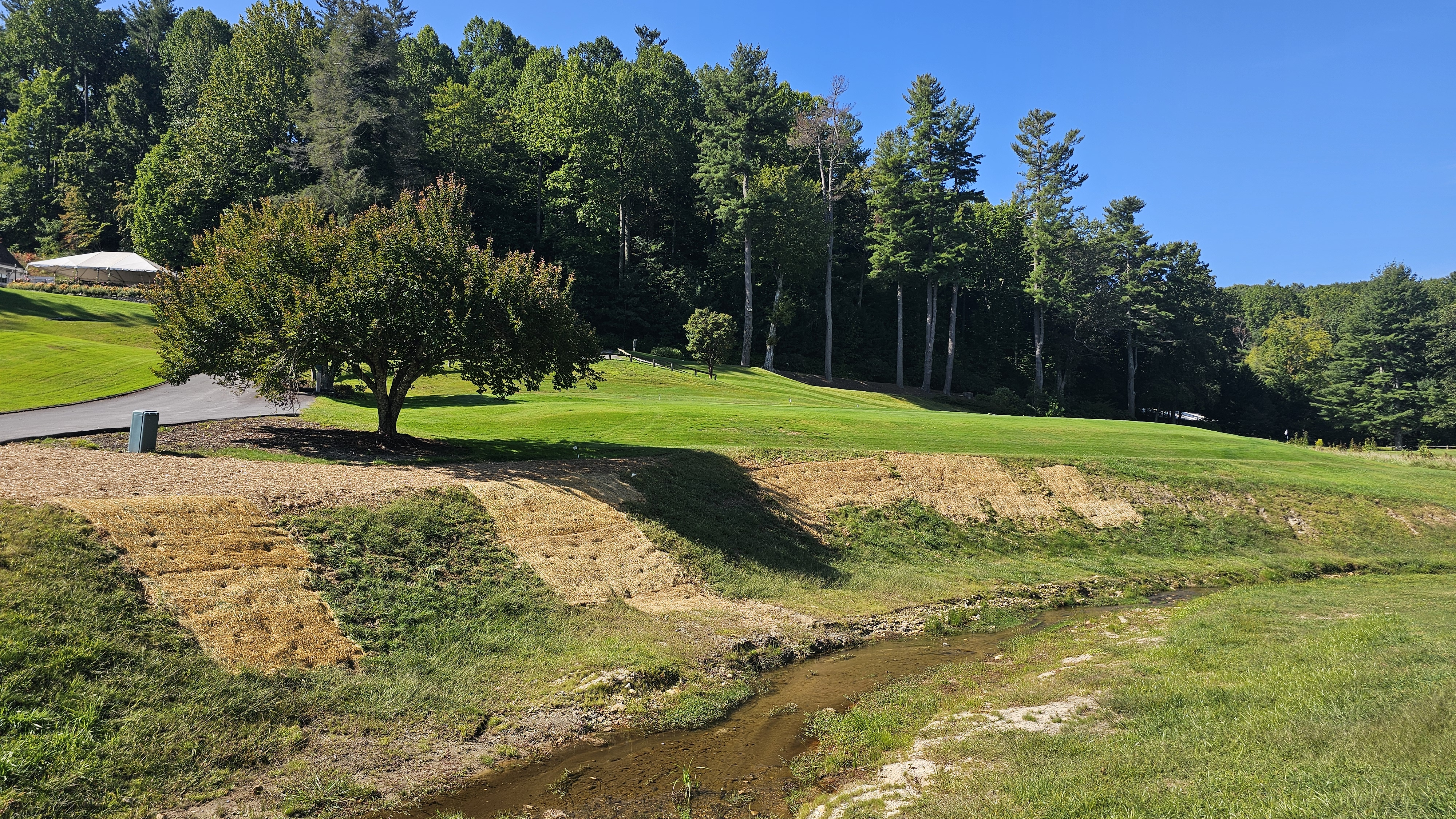Restored creek bank and manicured fairway under clear blue sky on a golf course.